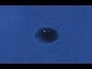 491385_88742_n_1
