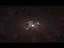 491397_12017_n_1