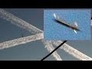 491398_39262_n_1