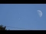 492060_83751_n_1