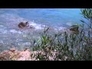 493014_30916_n_1