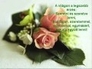 493704_93061_n_1