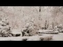 494636_19661_n_1