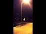496398_53234_n_1