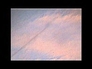 498990_54163_n_1