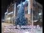 499302_62241_n_1