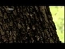409258_59449_n_1