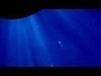 490015_95438_n_1