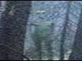 490644_57174_n_1