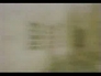 4380_4835492_n_2