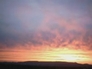 4386_9956062_n_2