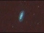 511086_53174_n_1