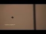 511240_95219_n_1