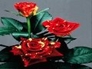 511308_87785_n_1