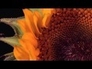 511948_19399_n_1