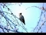 512024_92926_n_1