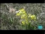 512042_50444_n_1