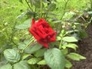 512930_61426_n_1