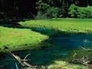 513193_32133_n_1