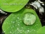 513869_96884_n_1
