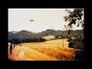 515335_50372_n_1