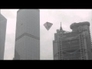 516030_23876_n_1