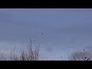 516032_31638_n_1