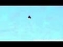 516181_11033_n_1