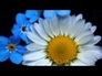 517248_13971_n_1