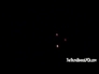 517546_67603_n_1
