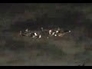 518413_97462_n_1