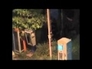 518417_35616_n_1