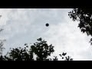 501006_56529_n_1
