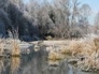 501067_19126_n_1