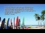 501554_85691_n_1