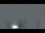 501894_29713_n_1