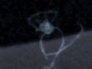 501899_38065_n_1