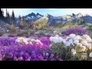 510277_52072_n_1