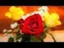 510554_63019_n_1