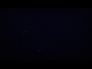 521271_31362_n_1