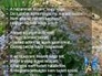 521932_96297_n_1