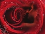 522861_90576_n_3