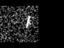 523161_72204_n_1