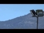 525161_88699_n_1