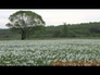 526208_13587_n_1