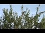 527500_41728_n_1