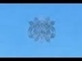 528095_42303_n_1