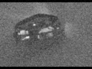 528202_11917_n_1