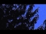 528967_62787_n_1