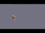 502099_27567_n_1